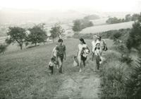 �~���`�[���̐X