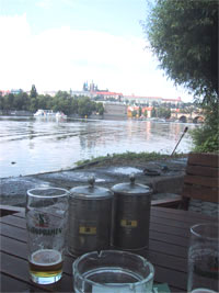 2004�N�A�v���n�@��