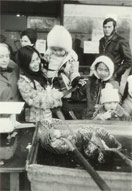 ���~�N���[�V����12��