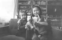 �R���r�F�V�J