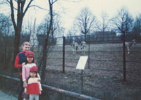 �R���r�F�V�J