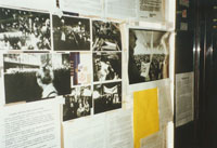 �~�̃r���[�h�v��