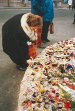 �~�̃r���[�h�v��