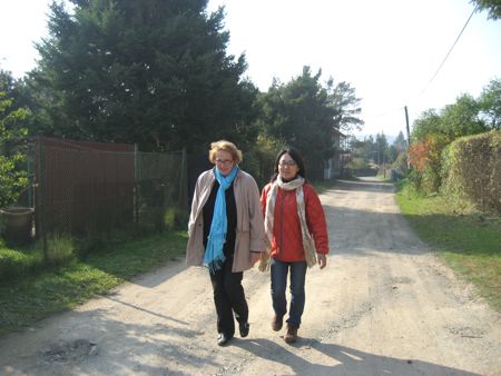 ドブジーシつながり