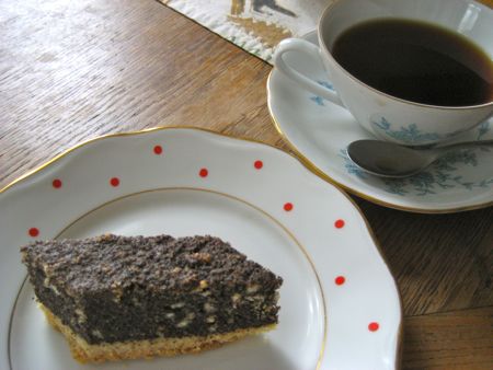 ドブジーシつながり