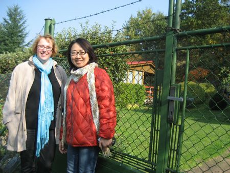 ドブジーシつながり